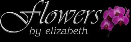 Flowers  by elizabeth